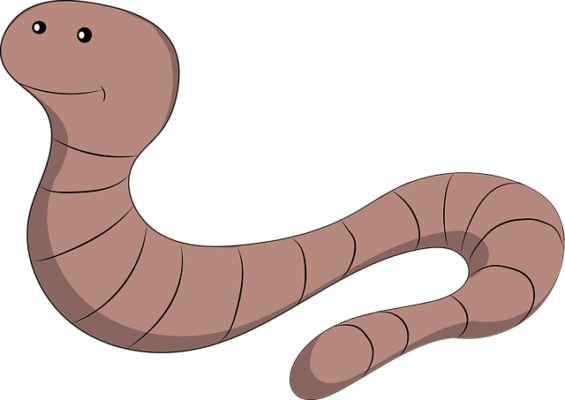 earth-worm