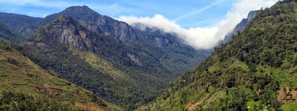 Mandaram Nuwara - misty mysterious mountain locked terrain By Arundathie Abeysinghe
