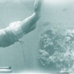 More on diving off the Pearl Banks