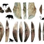 Ruminations on Sri Lanka’s Ancient Past