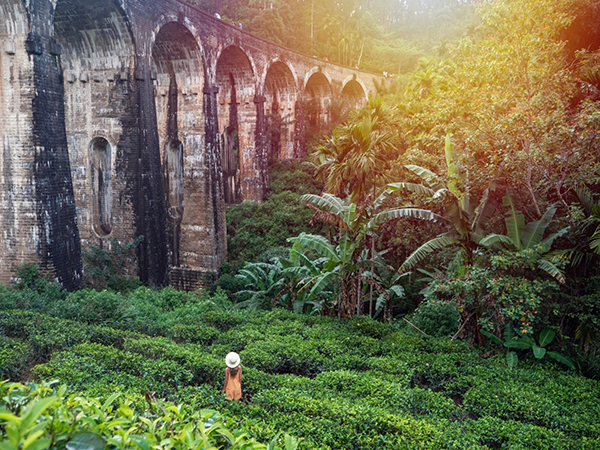 Sri Lanka’s famous nine arch bridge (image source: