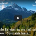 under his wings