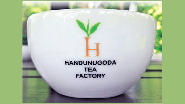 A Handunugoda Estate tea cup
