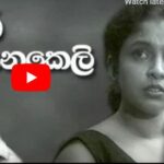 Bambara Senakeli (FREE) බඹර සැනකෙලි