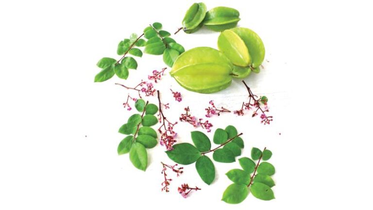 Carambola, a fruit Sri Lankans love less-by Panchamee Hewavissenti