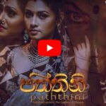 Paththini (2016 film) බුදු බව පතන පත්තිනි