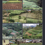 Photos of Nuwara Eliya – by Stefan D'silva