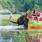 Tourism industry