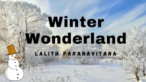 Winter Wonderland by- Lalith Paranavitana