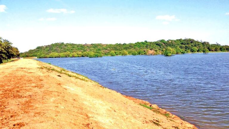 Water: The unique life insurance-By Nimal Wijesinghe Anuradhapura