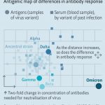 Omicron and Immunity