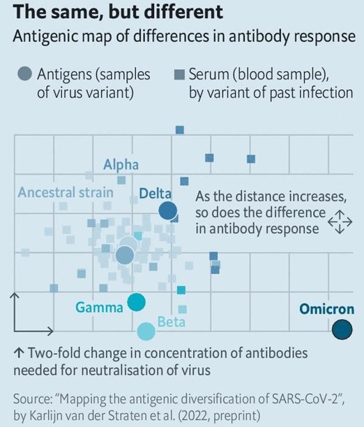 Omicron and Immunity