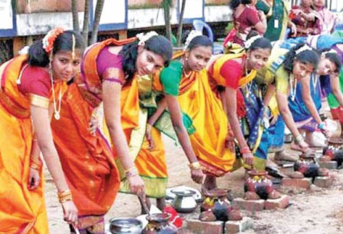 Thai Pongal celebrating a bountiful harvest