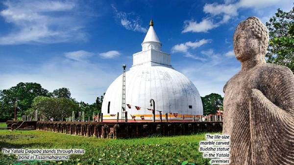 Reverence amid tranquility-by Mahil Wijesinghe