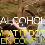alcohol