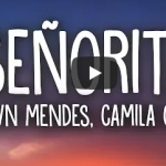 Shawn Mendes Camila Cabello - Señorita (Lyrics)