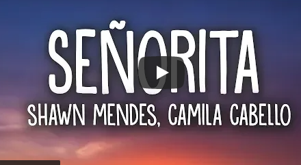 Shawn Mendes Camila Cabello - Señorita (Lyrics)