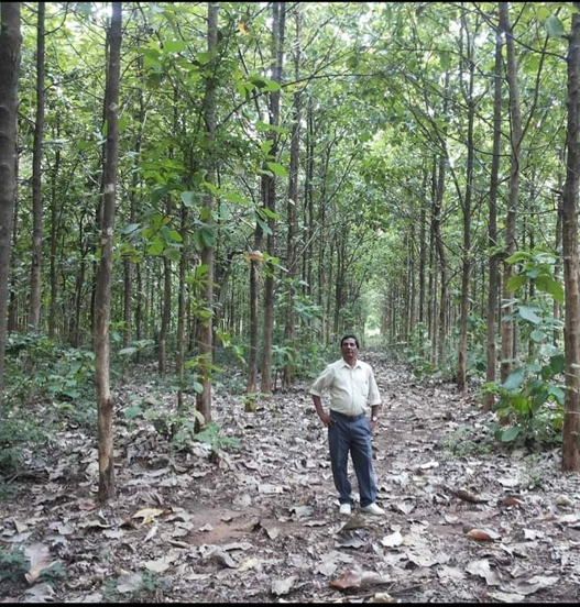 Australia – A Pioneer of Community Forestry in Sri Lanka by DR. DUNSTAN J. FERNANDO