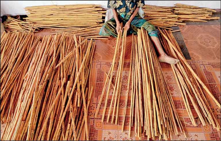 Ceylon Cinnamon clinches country’s first GI status