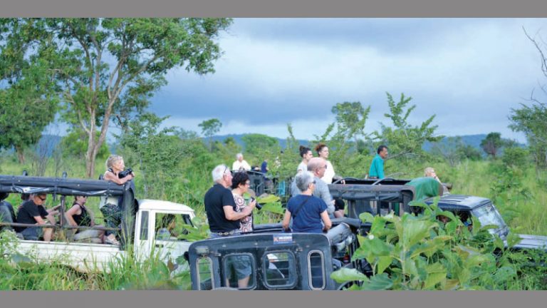 Journey of Independence: Multiple Milestones to Celebrate