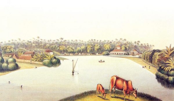 Ripples On The Water: A History Of The Beira Lake