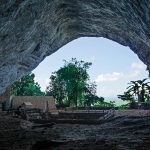 Window to prehistory