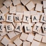 Factors influencing the attitudes of young Sri Lankan-Australians towards seeking mental healthcare: a national online survey