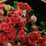 I Love You More & More Everyday Sung - By Gehan Gunasekera