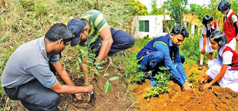 International Day of Forests tomorrow Healthy forests mean healthy people – by NIMAL WIJESINGHE
