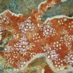 Pre-historic cave murals in Kotiyagala By Arundathie Abeysinghe
