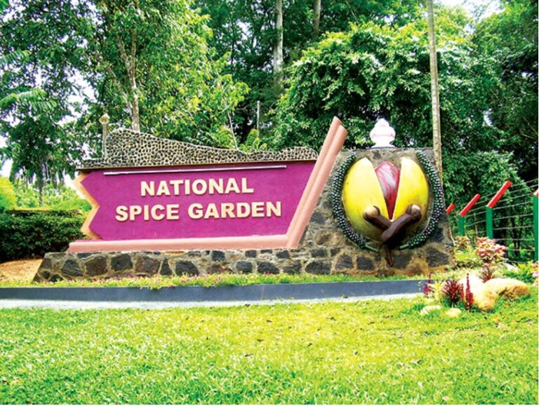 The garden of spices and more-By RANDIMA ATTYGALLE