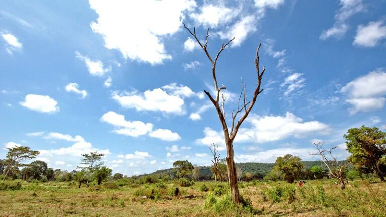 Unearthing ancient artefacts in Yala environs