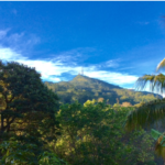 Hantana – A Fond Farewell - By GEORGE BRAINE