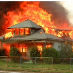 Houses burning - By Niranjan Selvadurai