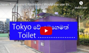Japan Transparent Restroom | Would you use this see-through toilet