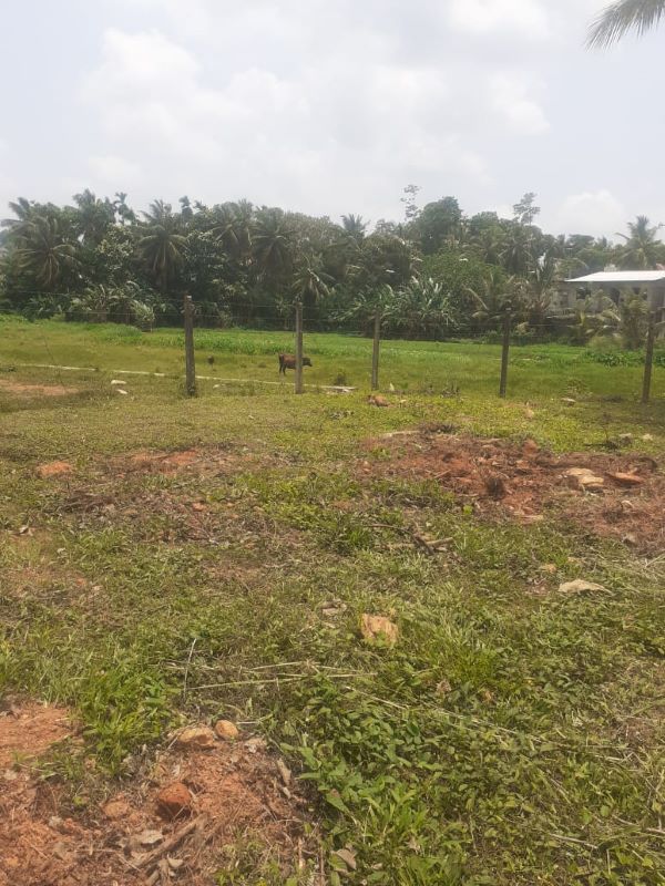 land for sale at Karapitiya in Galle