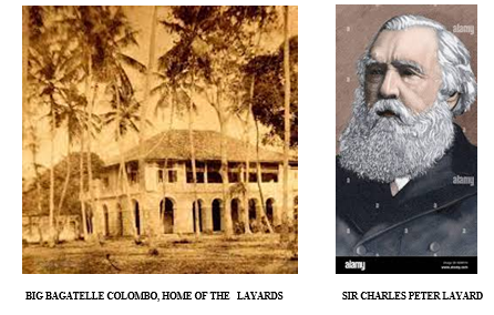 TRAVAILS OF AN EARLY COFFEE PLANTER - by Hugh Karunanayake