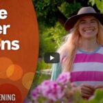 7 edible flower options