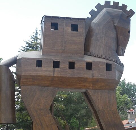 A Trojan Horse in Diyawanna Oya  – by Capt Elmo Jayawardena