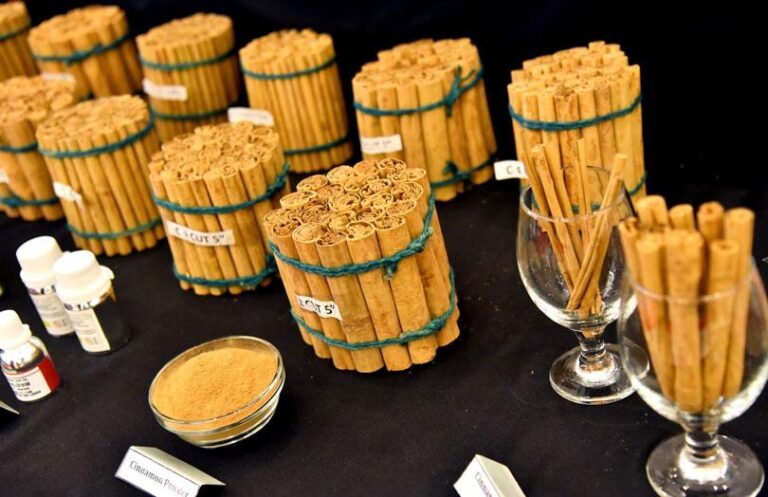 Ceylon Cinnamon receives GI certification from EU-by Chaturanga Samarawickrama