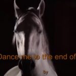 Dance me to the end of Love