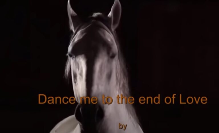 Dance me to the end of Love ( Pi-Air Design )