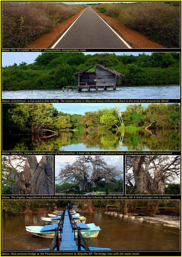 Dutch Bay, Eluwankulam and Gangewadiya - a glimpse – by Stefan D'silva