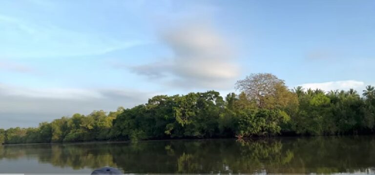 Glimpses of Kala Oya Estuary – April 2022