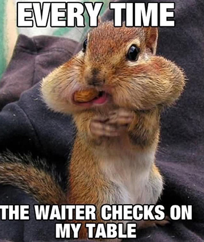 SQUIRRELS SAY