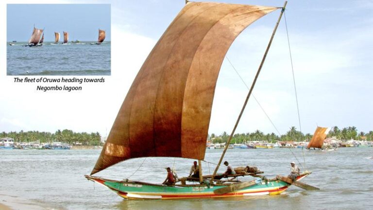 The life of Negombo’s Oruwa fishermen-BY MAHIL WIJESINGHE
