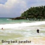 Bring Back Paradise