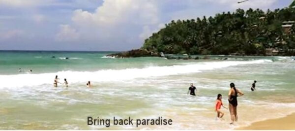 Bring Back Paradise