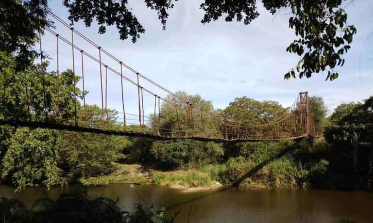 Kunchikulam Suspension Bridge – rare structure in the wilderness By Arundathie Abeysinghe