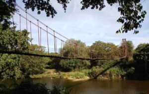Kunchikulam Suspension Bridge – rare structure in the wilderness By Arundathie Abeysinghe